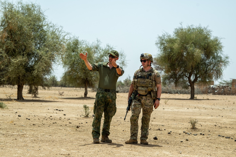 Explosive Ordnance Disposal techs train with multinational troops at Exercise African Lion