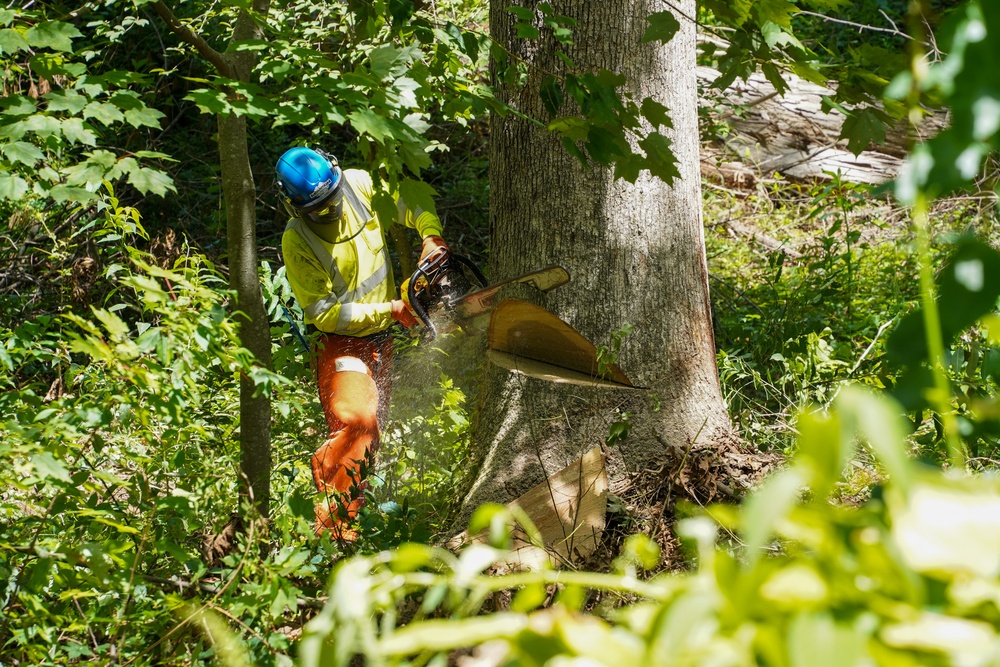 Personal Property Debris Removal continues in Buncombe County, North Carolina