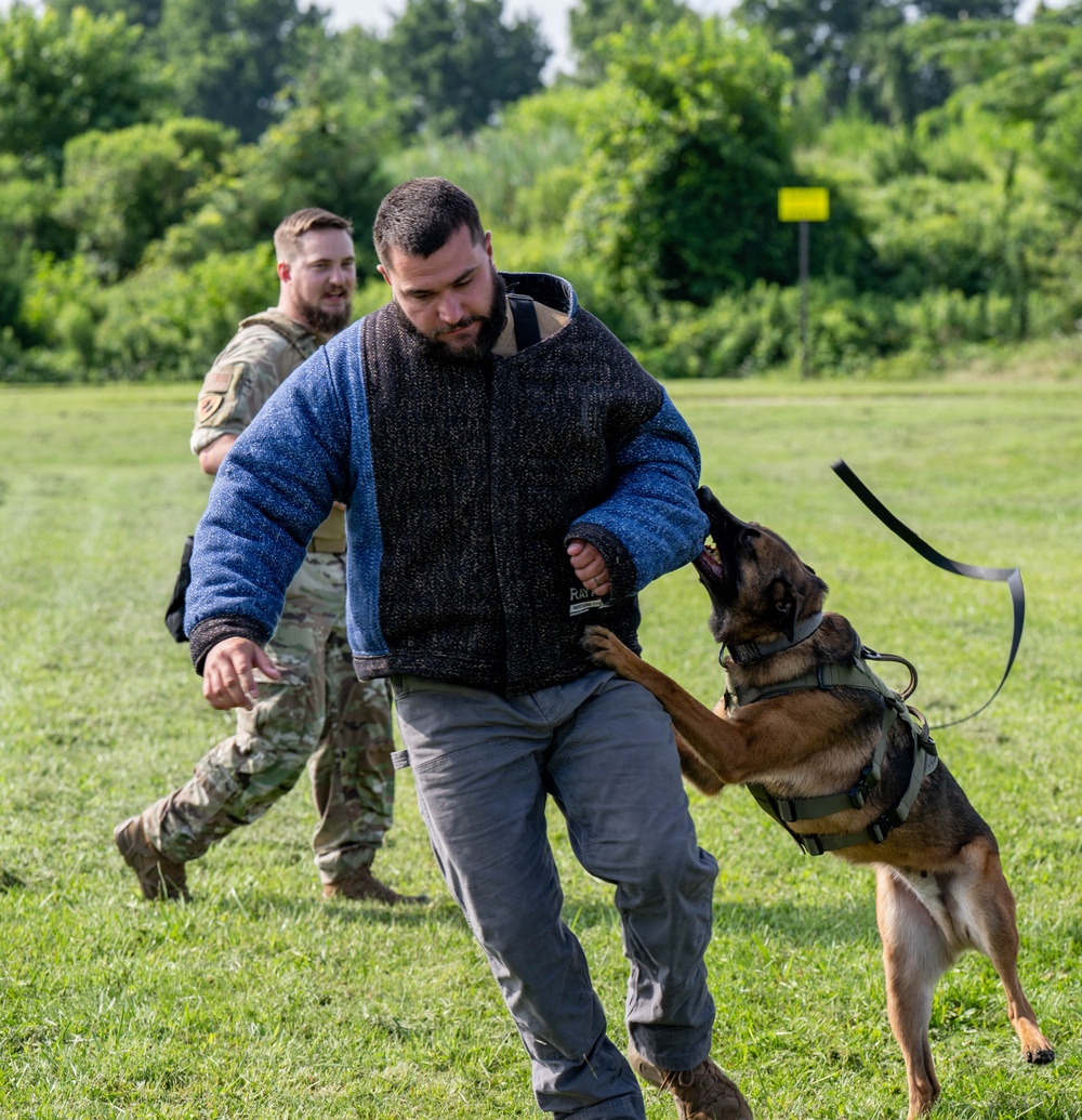 Behind the scenes: Honorary commanders tour the 436th MSG