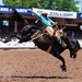 USAFA Day at Pikes Peak or Bust Rodeo 2025