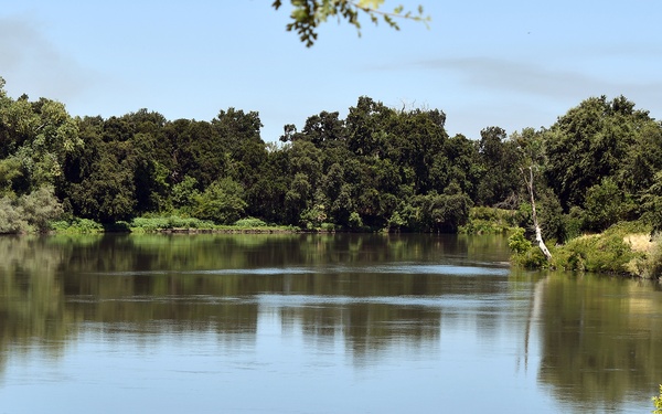 Sights from the Yolo Bypass