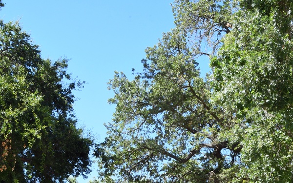 U.S. Army Corps of Engineers Sacramento District's Yolo Bypass Tour