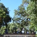 U.S. Army Corps of Engineers Sacramento District's Yolo Bypass Tour