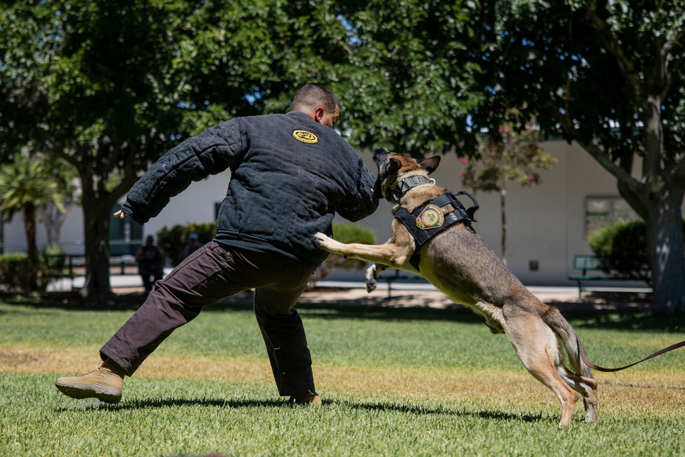 K9 Unit Demonstration for Palm Vista Elementary School Students
