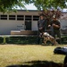 K9 Unit Demonstration for Palm Vista Elementary School Students
