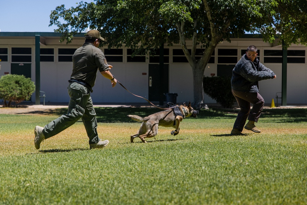 K9 Unit Demonstration for Palm Vista Elementary School Students