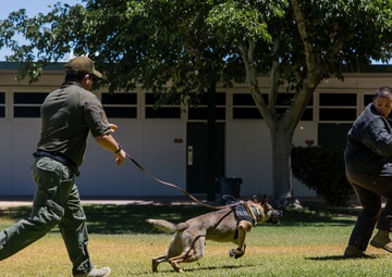 K9 Unit Demonstration for Palm Vista Elementary School Students