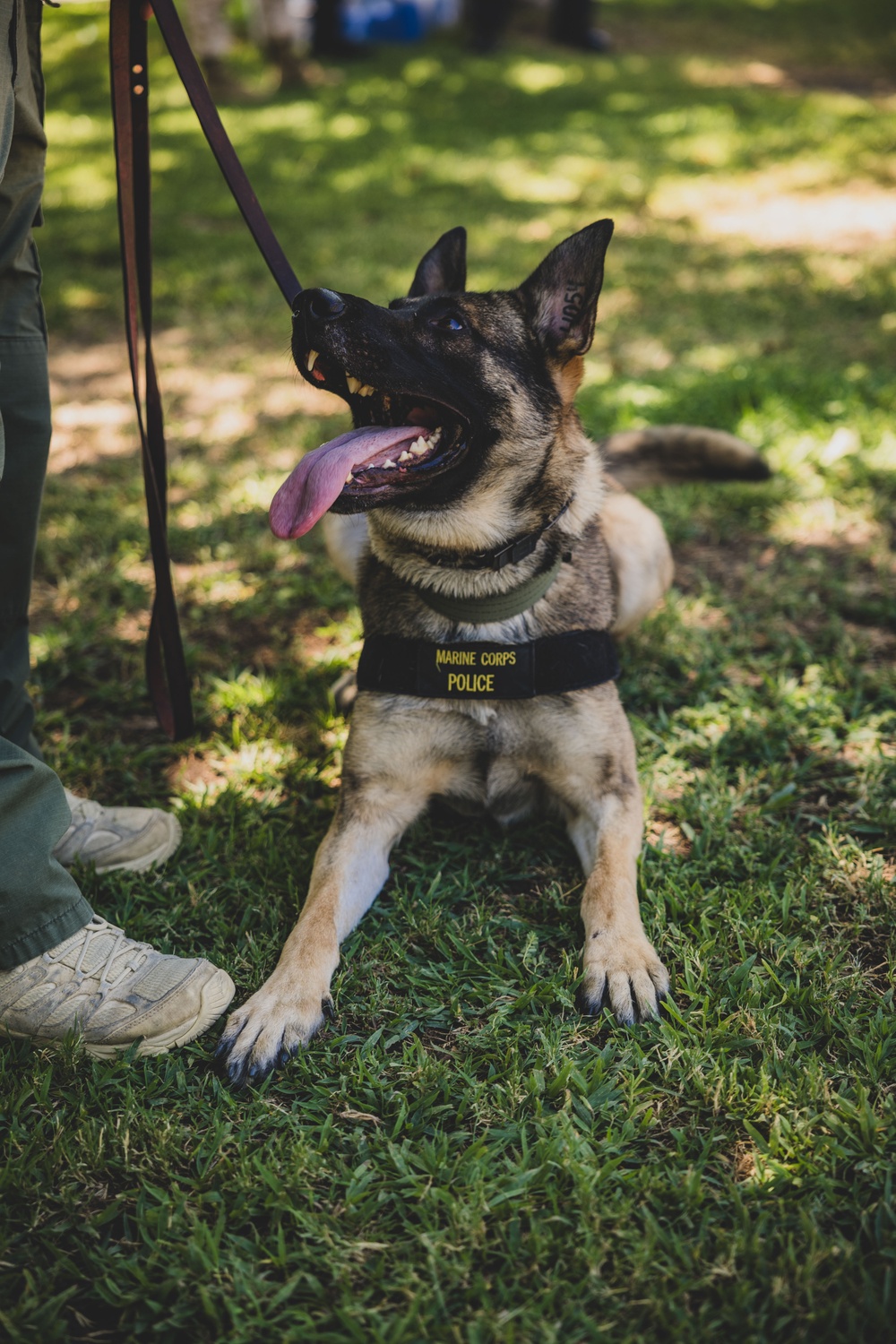 K9 Unit Demonstration for Palm Vista Elementary School Students