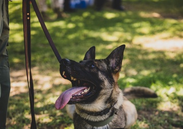 K9 Unit Demonstration for Palm Vista Elementary School Students