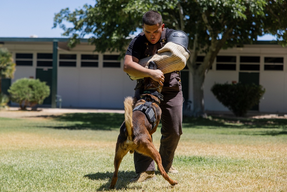K9 Unit Demonstration for Palm Vista Elementary School Students