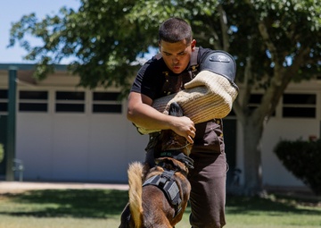 K9 Unit Demonstration for Palm Vista Elementary School Students
