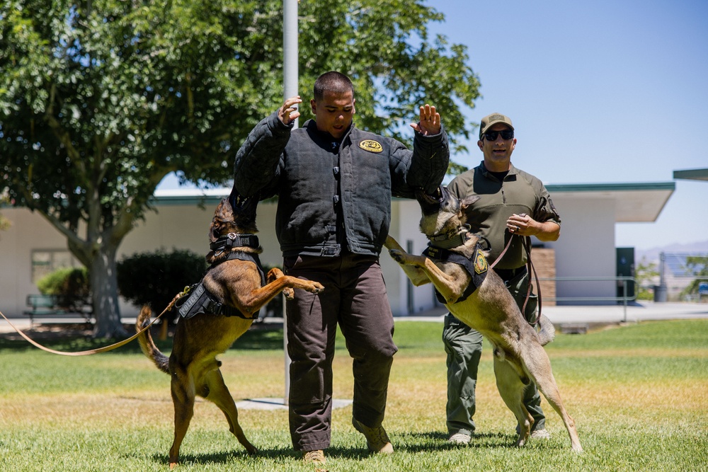 K9 Unit Demonstration for Palm Vista Elementary School Students