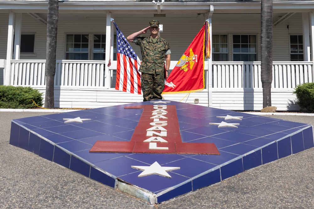 1st MARDIV ADC Col. Hoyle promotes to the rank of Brig. Gen.