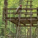 Sgt. Robert Ruiz-Rhoades climbs onto a platform in an obstacle course - 2025 National Best Warrior