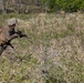ARTP 25.1 | 3/12 Marines Execute a Squad Attack