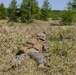 ARTP 25.1 | 3/12 Marines Execute a Squad Attack