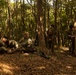 U.S. Marines with CLR-37 Conduct Basic Jungle Skills Course