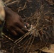 U.S. Marines with CLR-37 Conduct Basic Jungle Skills Course