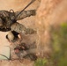 U.S. Marines with CLR-37 Conduct Basic Jungle Skills Course