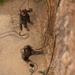 U.S. Marines with CLR-37 Conduct Basic Jungle Skills Course