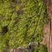 U.S. Marines with CLR-37 Conduct Basic Jungle Skills Course