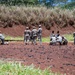 2025 USARPAC Best Squad Competition M4 Zero Range