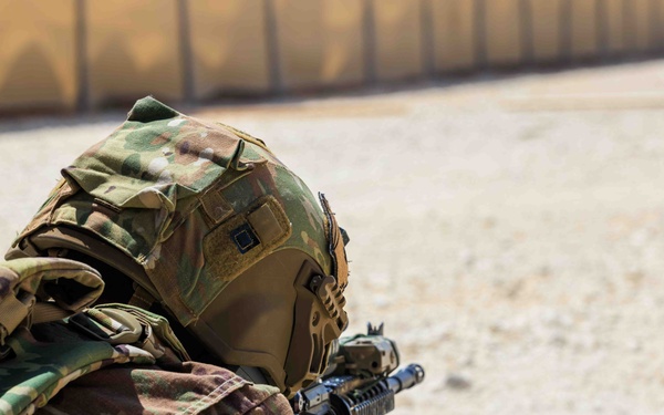 U.S. Army trains in Jade Chameleon 25.2 exercise.