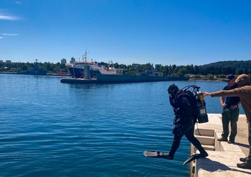 U.S. Navy Divers Strengthen NATO Maritime Infrastructure in Croatia