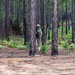 20th CES's Near Peer Threat Exercise