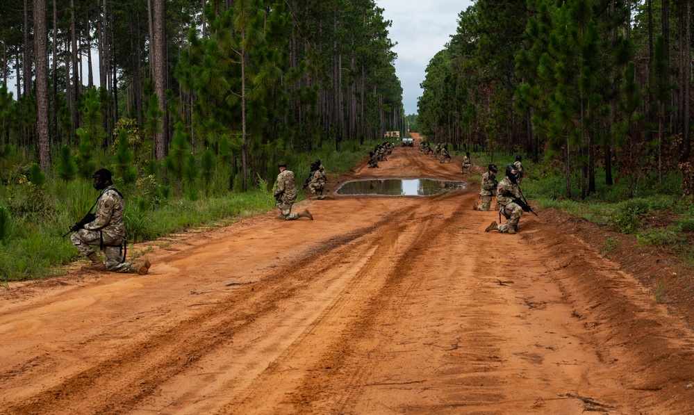 20th CES's Near Peer Threat Exercise