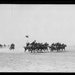 From Horses to Tanks: BOOTS AND SADDLES