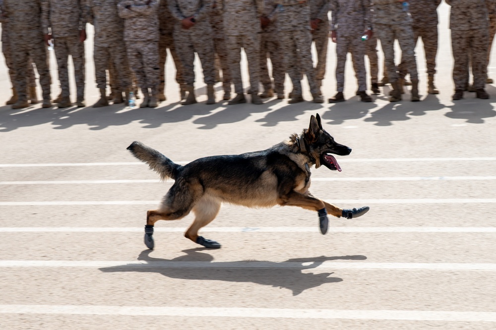 Stronger Together: 378th ESFS collaborates with RSAF to exchange tactical skills and increase interoperability