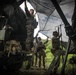 TASK FORCE WARRIOR TAC MOVEMENT