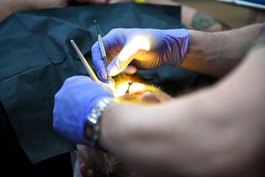 The AMEDD Effect Podcast | Episode 6: U.S. Army Dental Corps Feat. Dental Recruiting Intergration Officer, MAJ Phillip Buckler
