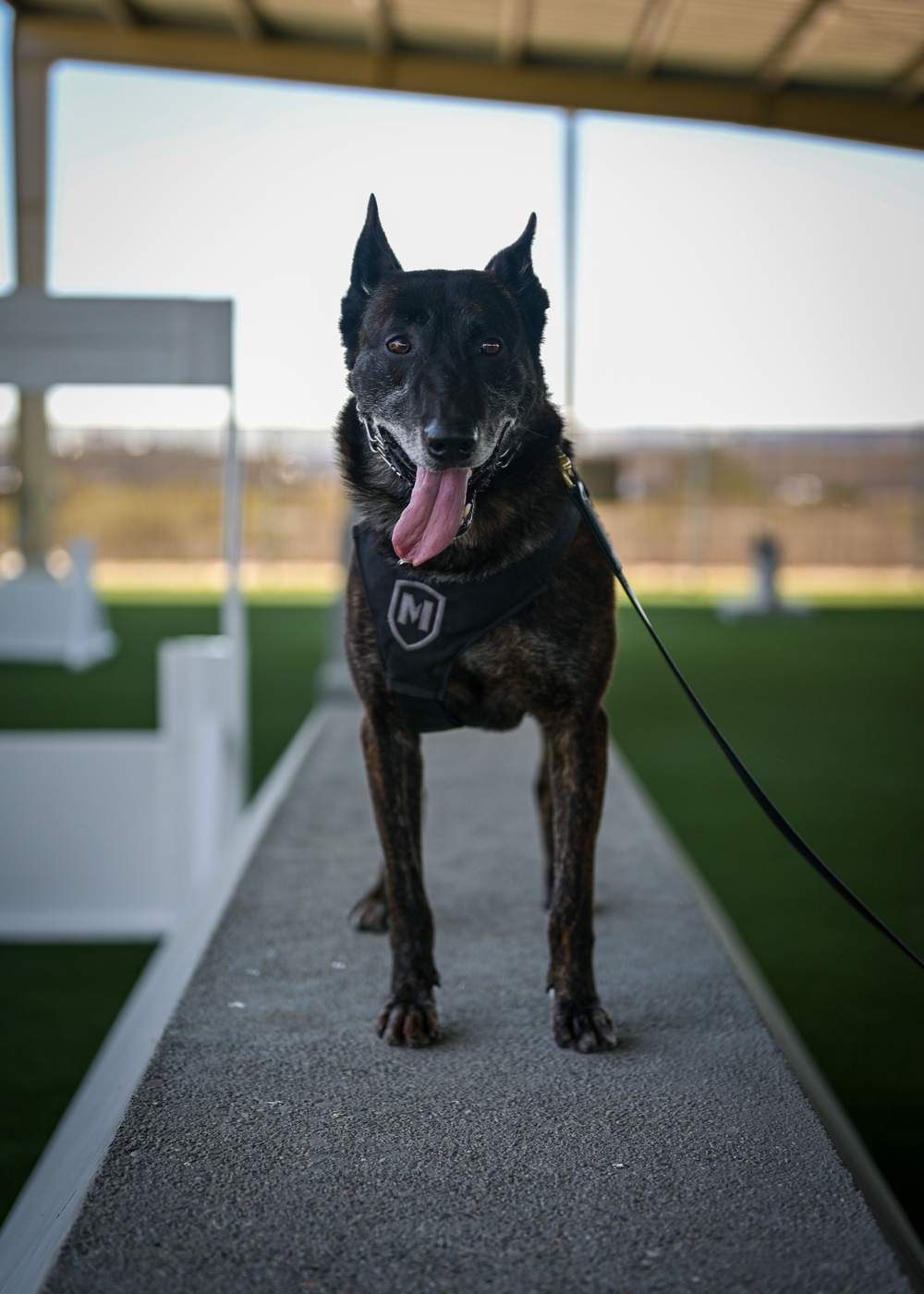 30th Security Forces Squadron K9 Handlers Train to Maintain Lethality, Readiness