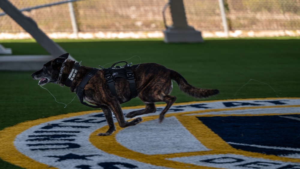 30th Security Forces Squadron K9 Handlers Train to Maintain Lethality, Readiness
