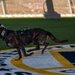 30th Security Forces Squadron K9 Handlers Train to Maintain Lethality, Readiness