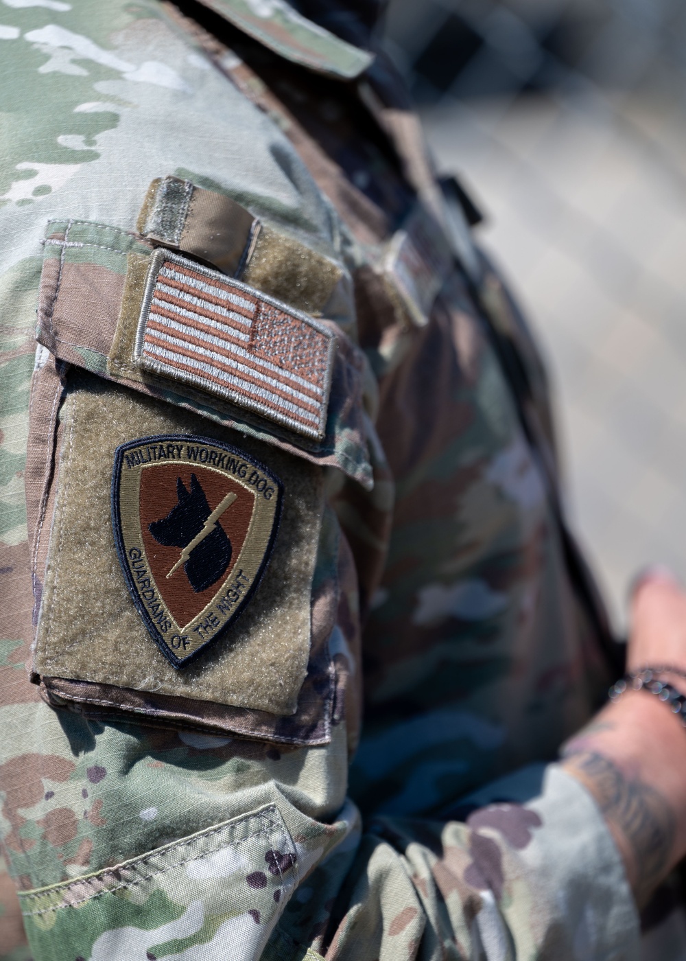 30th Security Forces Squadron K9 Handlers Train to Maintain Lethality, Readiness