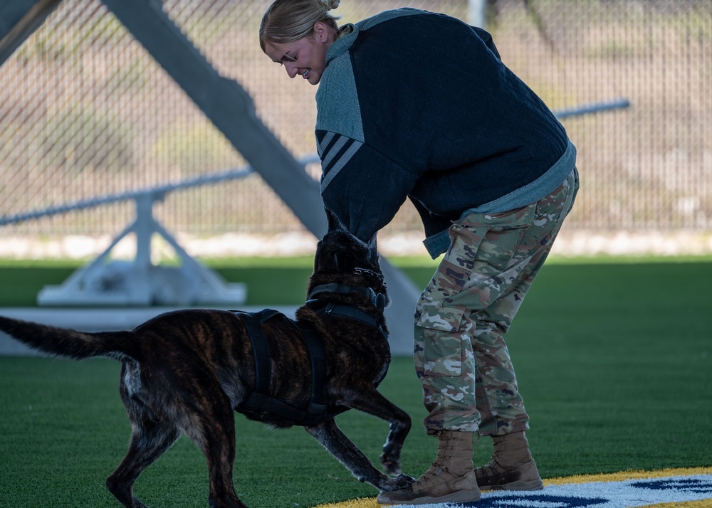30th Security Forces Squadron K9 Handlers Train to Maintain Lethality, Readiness