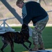 30th Security Forces Squadron K9 Handlers Train to Maintain Lethality, Readiness