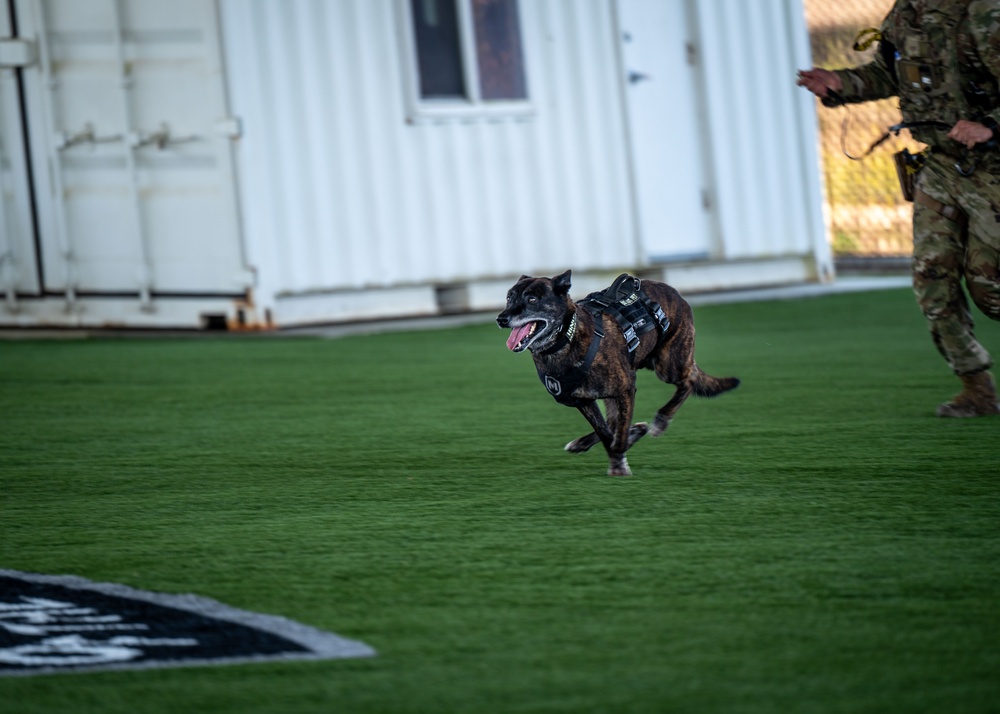 30th Security Forces Squadron K9 Handlers Train to Maintain Lethality, Readiness