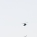 CJCS Helo Movement