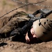 U.S. Air Force Academy BCT Class of 2029 Assault Course