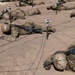 U.S. Air Force Academy BCT Class of 2029 Assault Course