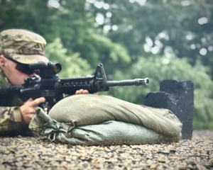 U.S. and Allied Soldiers Conclude Immediate Response 25 - News In One June 13, 2025