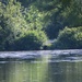 Wildlife at Fort Indiantown Gap