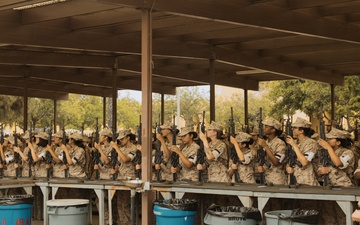 Fox Company M16 Issue