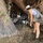 U.S Army Lt. Emily Ake works with cadaver dogs during search, recovery mission