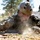 U.S. Air Force Academy BCT Class of 2029 Assault Course