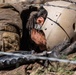U.S. Air Force Academy BCT Class of 2029 Assault Course